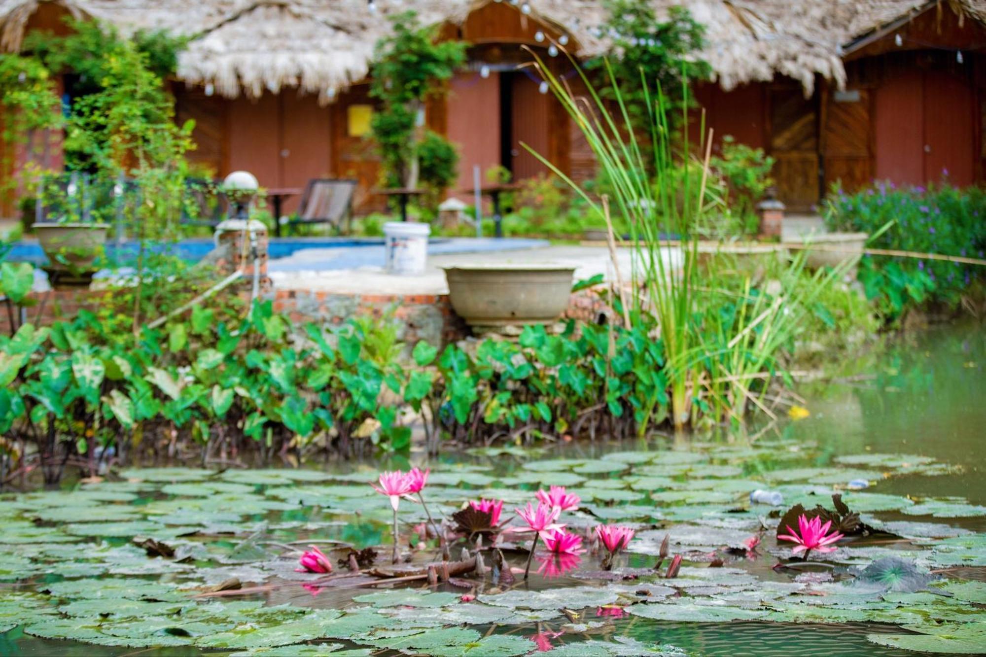 Trang An Passion Homestay Ninh Binh Luaran gambar